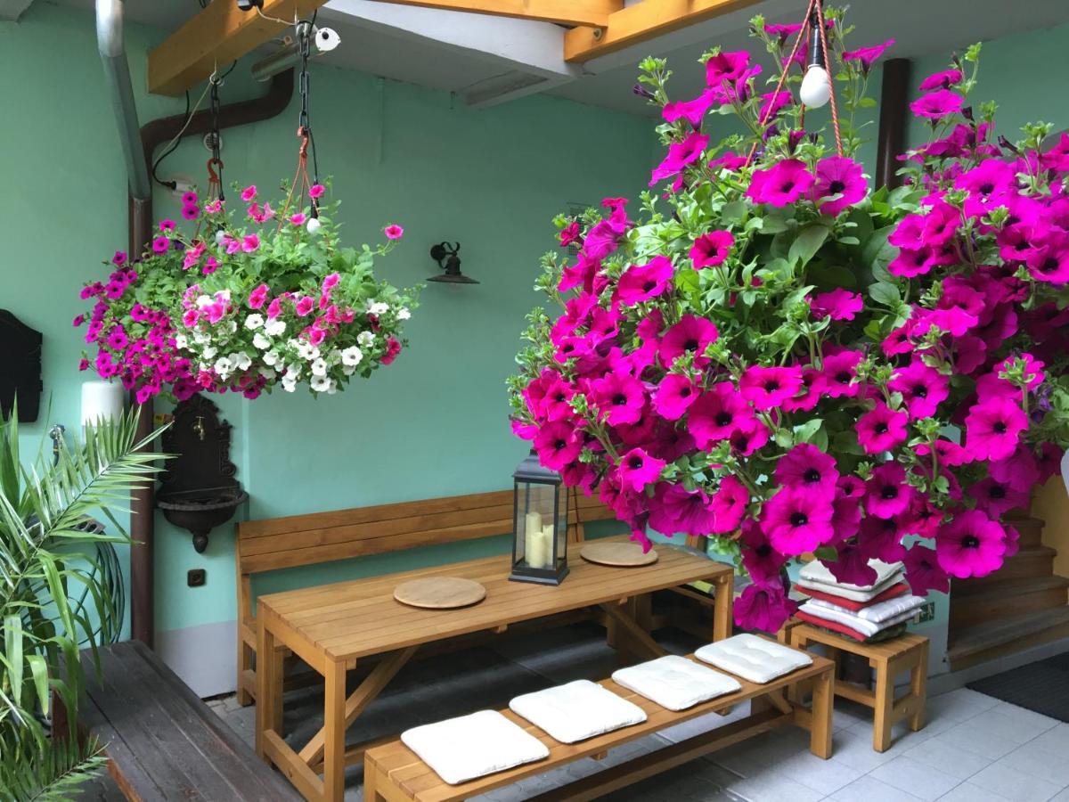 Apartman Netolice 207 Deluxe 外观 照片