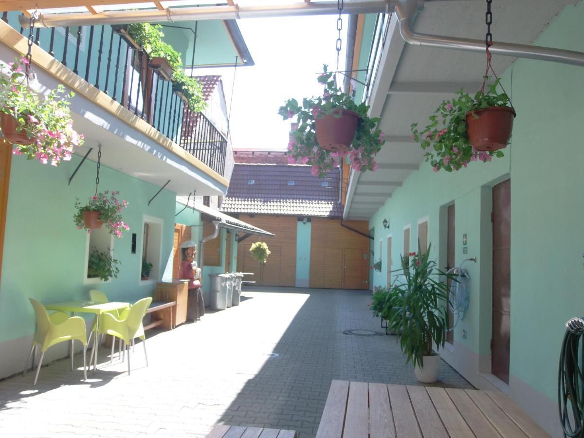 Apartman Netolice 207 Deluxe 外观 照片